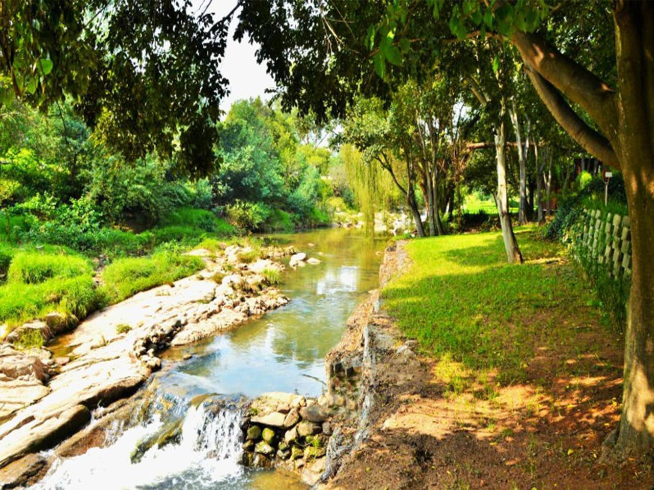 Sand River Guest House Johannesburg Luaran gambar